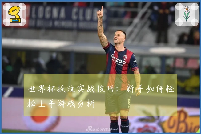 世界杯投注实战技巧：新手如何轻松上手游戏分析