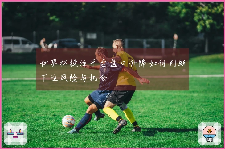 世界杯投注平台盘口升降如何判断下注风险与机会