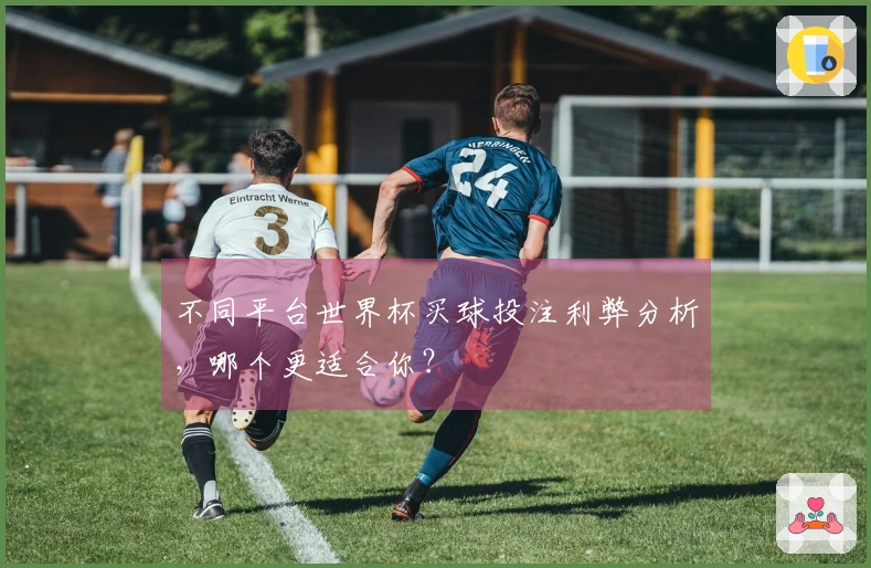 不同平台世界杯买球投注利弊分析，哪个更适合你？