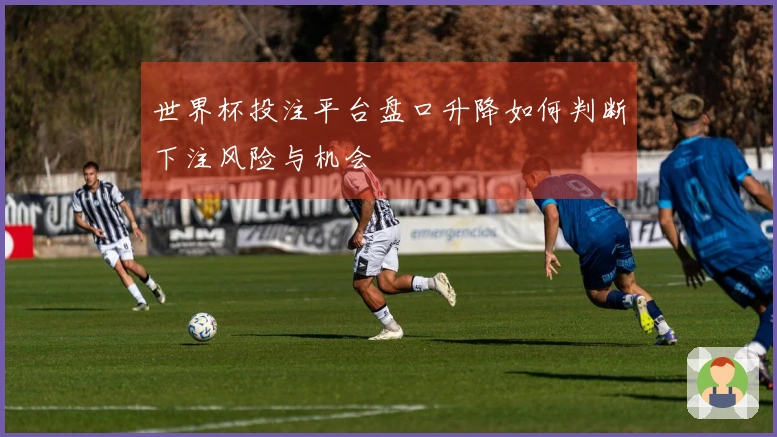 世界杯投注平台盘口升降如何判断下注风险与机会