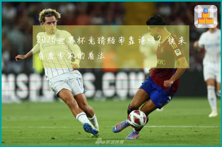 2026世界杯竞猜赔率靠谱吗？快来看看专家的看法