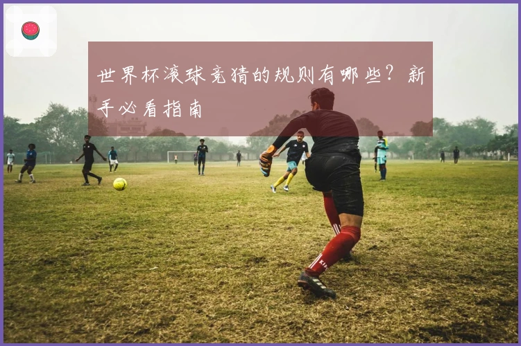 世界杯滚球竞猜的规则有哪些?新手必看指南