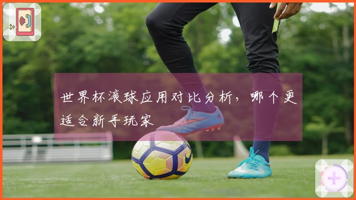 世界杯滚球应用对比分析，哪个更适合新手玩家