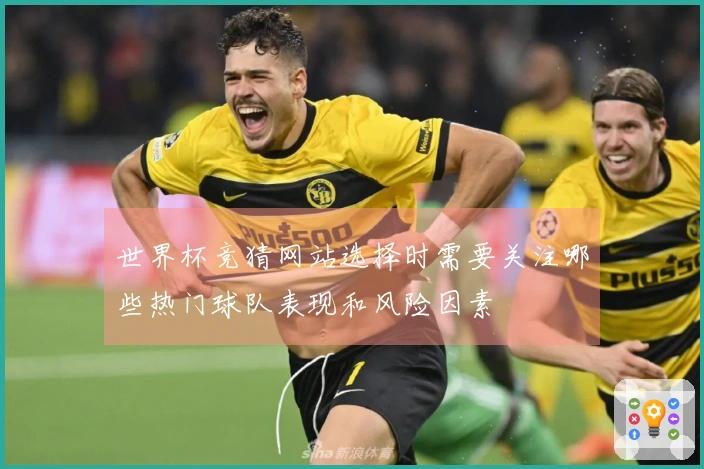世界杯竞猜网站选择时需要关注哪些热门球队表现和风险因素