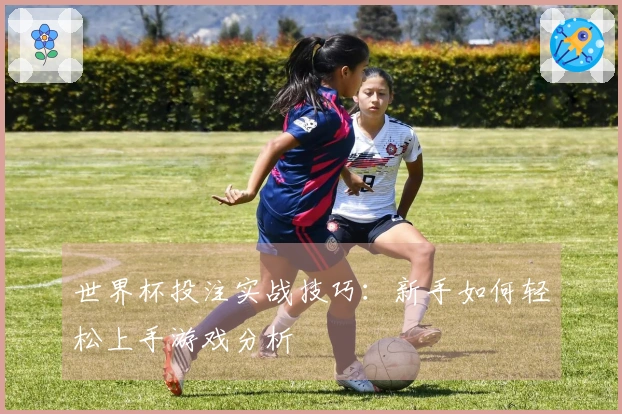世界杯投注实战技巧：新手如何轻松上手游戏分析
