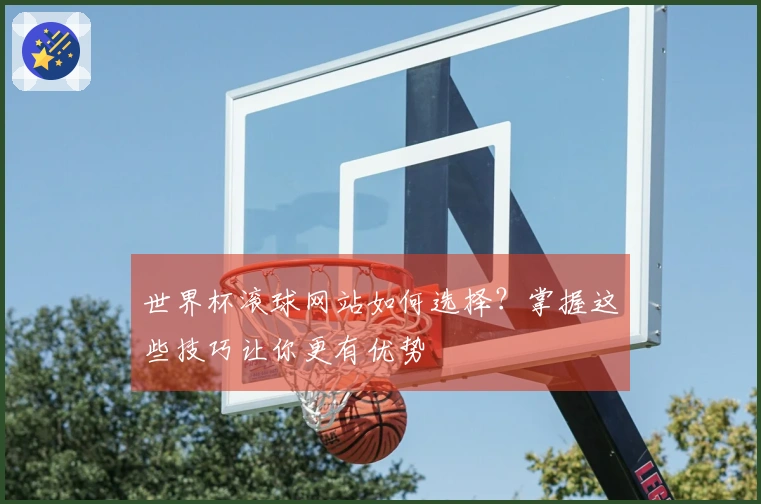 世界杯滚球网站如何选择？掌握这些技巧让你更有优势