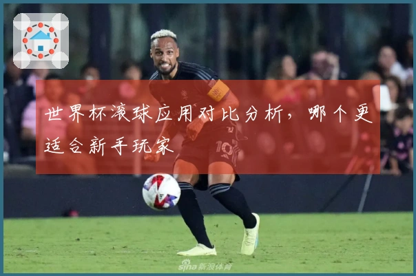 世界杯滚球应用对比分析，哪个更适合新手玩家