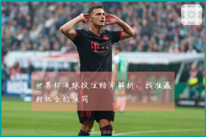 世界杯滚球投注赔率解析，找准赢利机会的诀窍